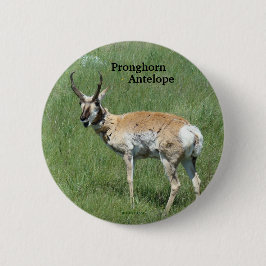 A3 Pronghorn Antilope Button