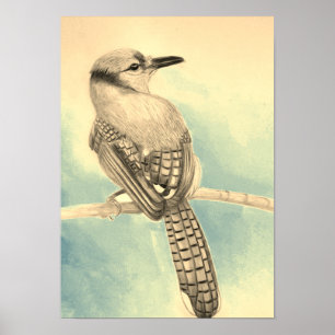 A3 Schön blauer Jay Stift Zeichne Druck Poster