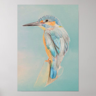 A3 Schöner Kingfisher-Stift, der Print Zeichne Poster