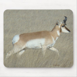 A44 Pronghorn Antilope Young Buck Mousepad
