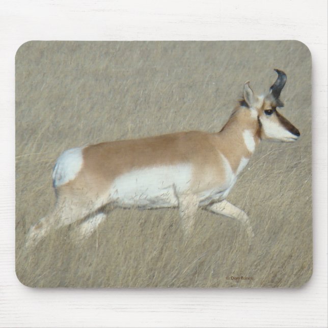 A44 Pronghorn Antilope Young Buck Mousepad (Vorne)