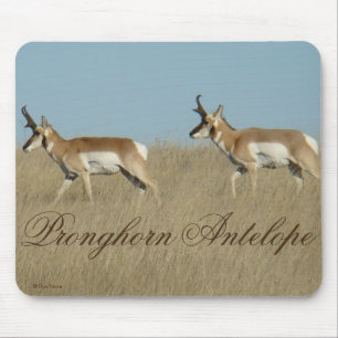 A45 Gabelbock Jungböcke Mousepad