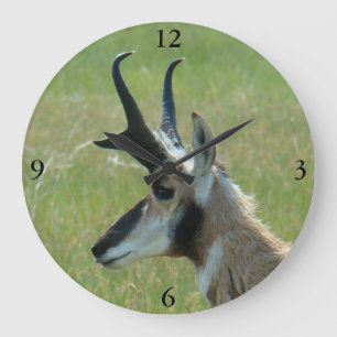 A47 Pronghorn Antilopen-viel Geld-Kopf-Profil Große Wanduhr