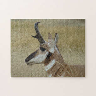 A4 Gabelbock Kopfschuss Profil