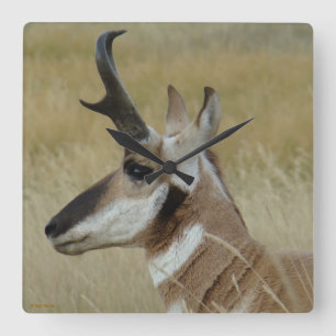 A4 Pronghorn Antelope Head Shot Profile Quadratische Wanduhr