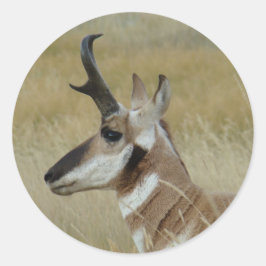 A4 Pronghorn Antelope Head Shot Profile Runder Aufkleber