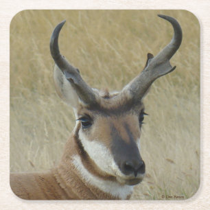 A5 Pronghorn Antelope Big Buck Head Rechteckiger Pappuntersetzer