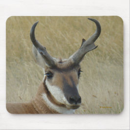 A5 Pronghorn Antelope Mousepad
