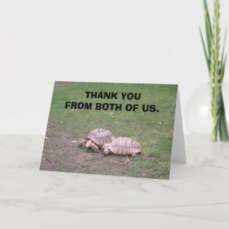 a75f, MERCI DES DEUX.