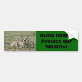 A7 Baby Pronghorn Antelope Autoaufkleber