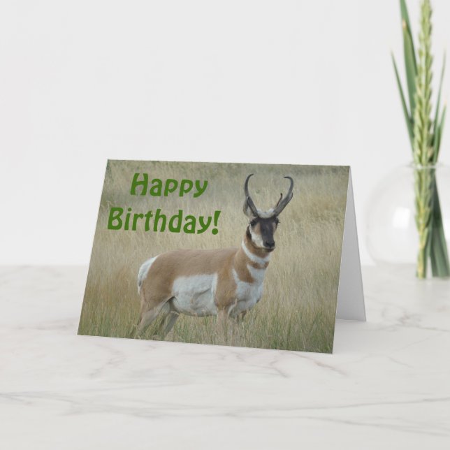 A8 Pronghorn Antelope Big Buck Karte (Vorderseite)