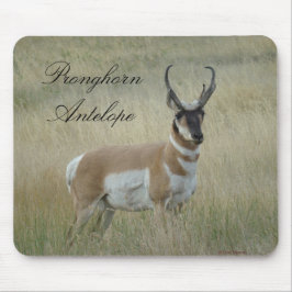 A8 Pronghorn Antelope Big Buck Mousepad
