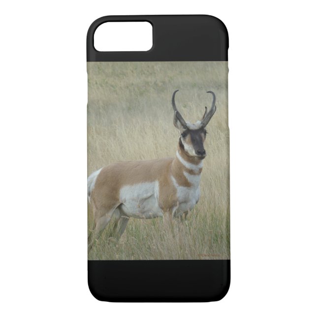 A8 Pronghorn Antelope Buck Case-Mate iPhone Hülle (Rückseite)