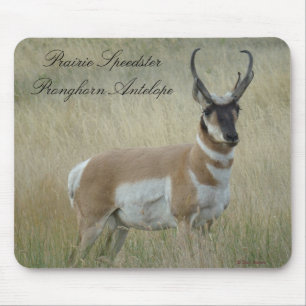 A8 Pronghorn Antilopen-viel Geld Mousepad