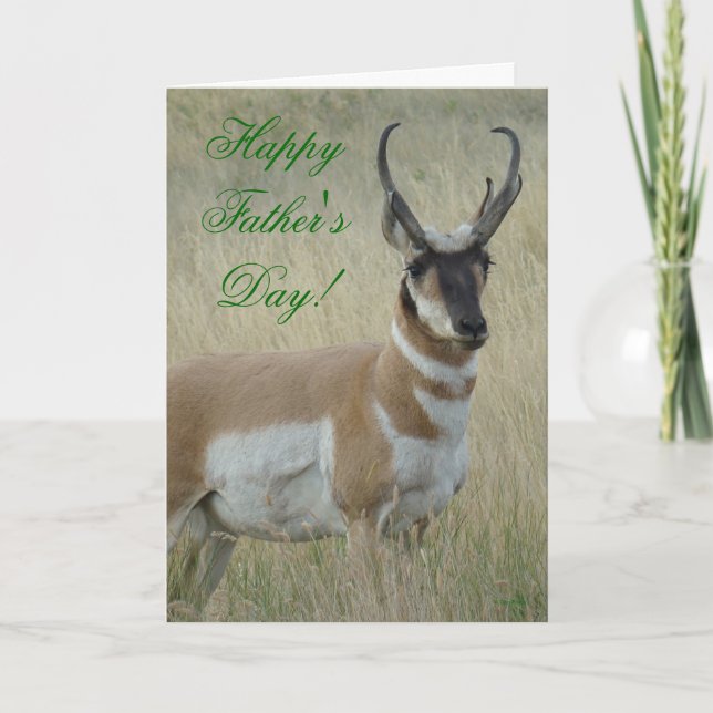 A9 Pronghorn Antelope Big Buck Karte (Vorderseite)
