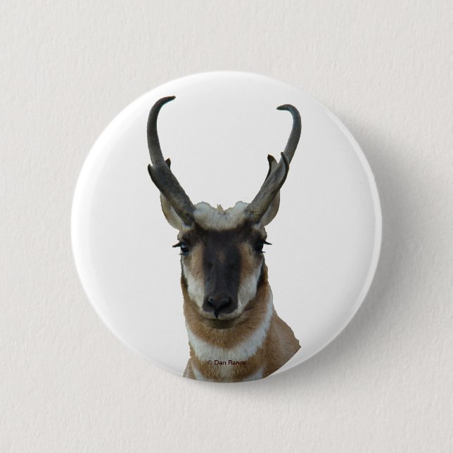 A9 Pronghorn Antilopen-Kopf Button (Vorderseite)