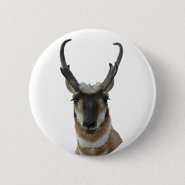 A9 Pronghorn Antilopen-Kopf Button