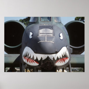 A-10 Thunderbolt II Poster
