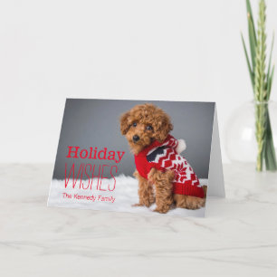 A 10 week old toy poodle feiertagskarte