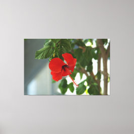 A beautiful bridal bouquet poster leinwanddruck