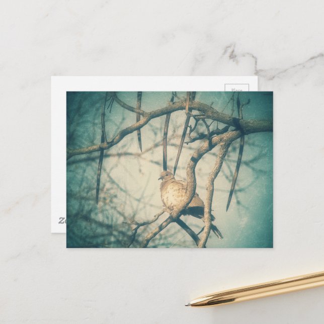 A beautiful Dove Postkarte (Vorderseite/Rückseite Beispiel)