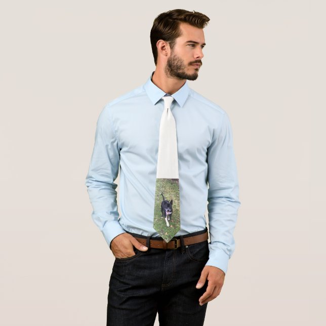 A beautiful Staffordshire Bull Terrier Tie Krawatte (Beispiel)