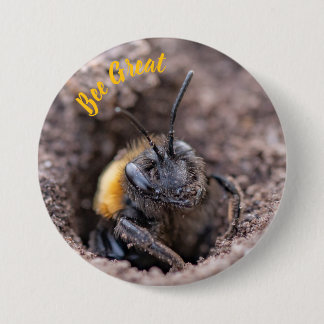 A bee on a badge button
