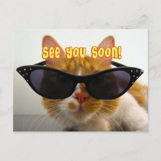 À bientôt - Carte postale de chat cool