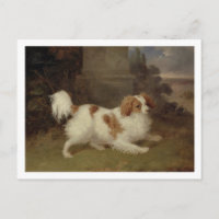 A Blenheim Spaniel, c.1820-30 (Öl auf Leinwand)