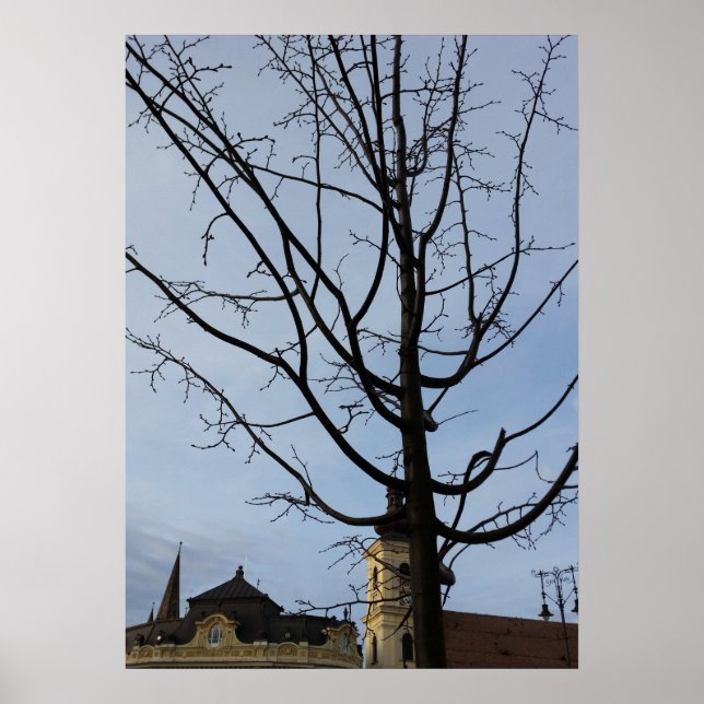 a budding tree poster (Vorne)