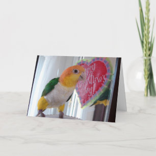 A Caique Valentine Feiertagskarte