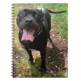 A Cane Corso X Notebook Notizblock