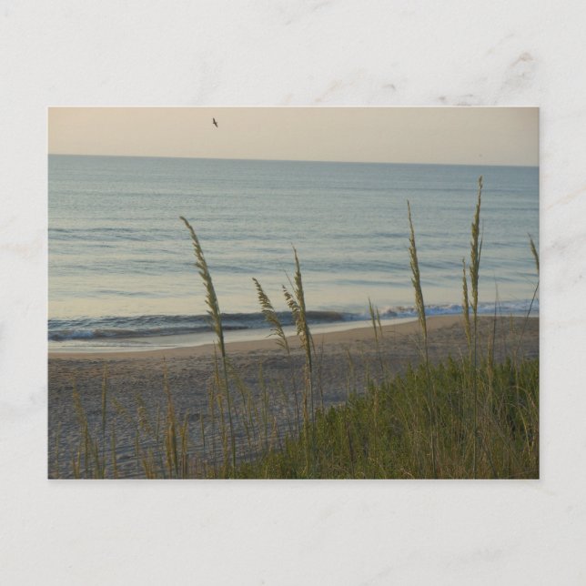 A Carolina Beach Postkarte (Vorderseite)