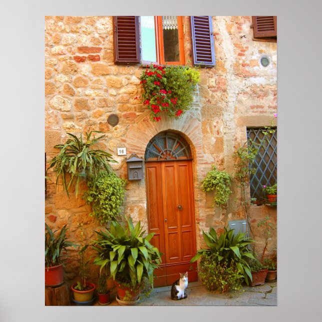 A cat seeks entrance to home in Pienza, Italy. Poster (Vorne)