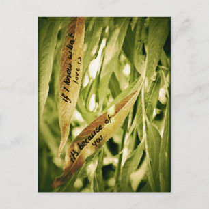 À cause de vous (amour) carte postale