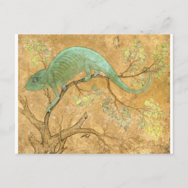 A Chameleon von Ustad Mansur Postkarte (Vorderseite)