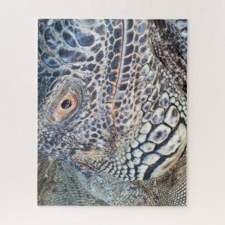 A close up head of a green iguana. Challenging