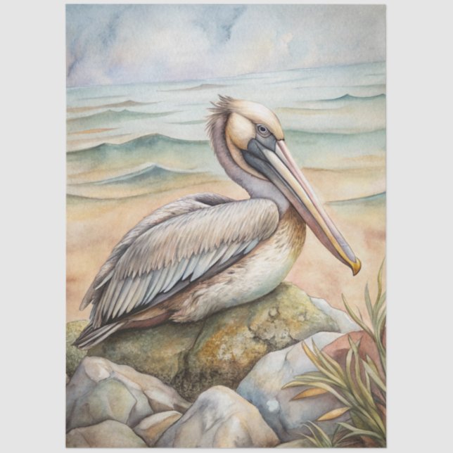 A Coastal Series Design 50 Seidenpapier (Vorderseite)