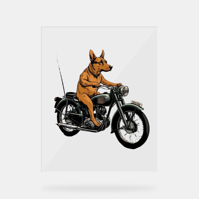 A Cool Dog Riding a Motorcycle (Recto)