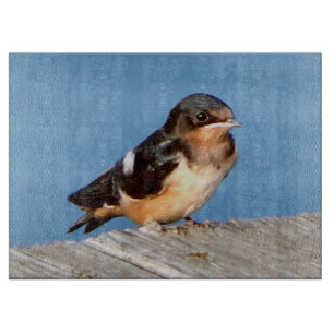 À Découper Barne Planche de coupe Swallow