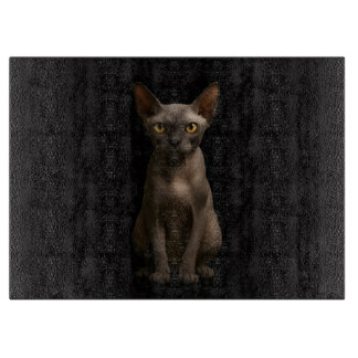 À Découper Planche en verre Black 4 Luxe Chat Sphynx