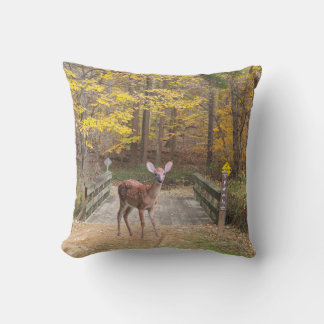 A deer in the park kissen