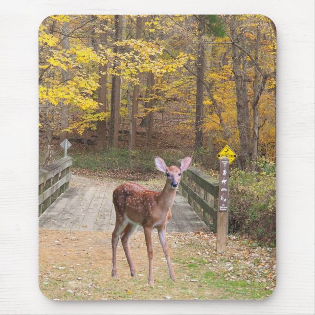 A deer in the park mousepad (Vorne)