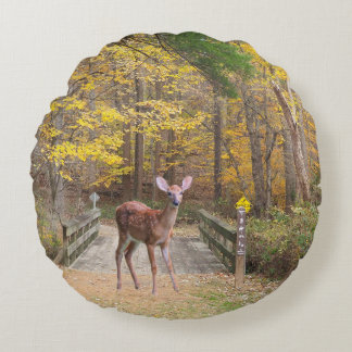 A deer in the park rundes kissen