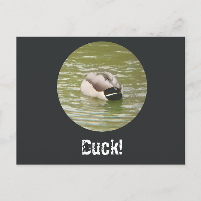 A Ducking Duck Postcard Feiertagspostkarte (Vorderseite)
