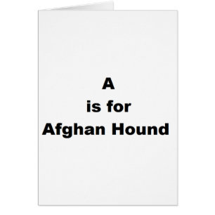 a est pour le lévrier afghan