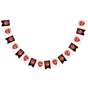 À Fanions Bannière de Bunting de la fête de Schweiz