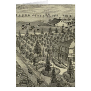 À feuillage persistant Ave