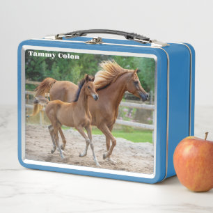 A Filly und ihre Mama Metall Brotdose