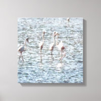 A Flamboyant Pat of Flamingos